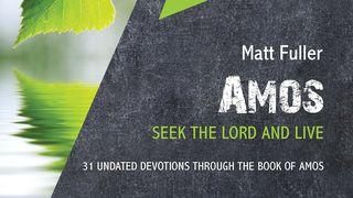 Amos: Seek The Lord and Live Amos 8:11 Het Boek