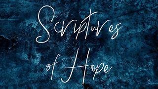 Scriptures Of Hope Romanos 5:5 Nova Bíblia Viva Português