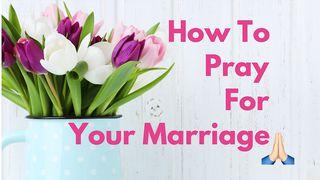 How To Pray For Your Marriage