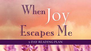 When Joy Escapes Me By Nina Smit Ebr 6:10 Maandiko Matakatifu ya Mungu Yaitwayo Biblia