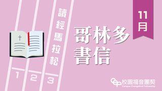 讀經馬拉松－哥林多書信 哥林多後書 3:17-18 新標點和合本, 神版