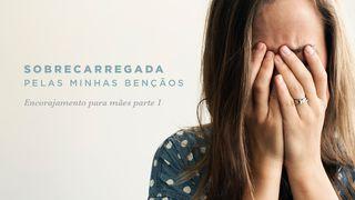 Sobrecarregada Pelas Minhas Bençãos Parte 1 Efésios 4:24 Almeida Revista e Corrigida