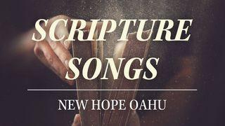 New Hope Oahu - Scripture Songs 11 Day Devotional Psalmen 143:1 Het Boek