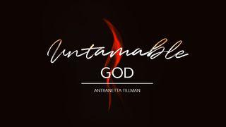 Untamable God  1 Juan 4:18 Nueva Versión Internacional - Español