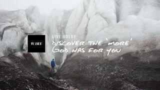 Live Boldly // Discover The 'More' God Has For You 2 Timothy 2:1 New American Standard Bible - NASB 1995