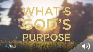 What Is God’s Purpose For My Life? Gênesis 12:1 Bíblia