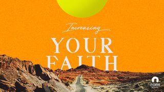 Increasing Your Faith  Matthieu 8:10 Ajie New Testament