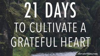 21 Days To Cultivate A Grateful Heart ПСАЛЬМЫ 106:1 Біблія (пераклад А.Бокуна)