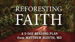 Reforesting Faith John 19:16-30 King James Version