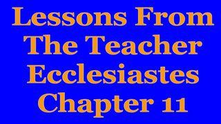 Wisdom Of The Teacher For College Students, Ch. 11 Ecclesiastes 11:1-6 New International Version