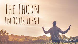 The Thorn In Your Flesh Philippians 2:9 New Century Version