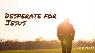 Desperate For Jesus Luke 8:48 New International Version