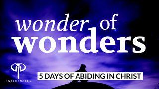 Wonder of Wonders John 10:25-30 New International Version