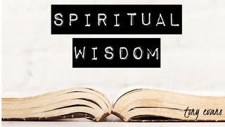 Spiritual Wisdom Ephesians 1:17-19 New International Version