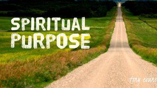 Spiritual Purpose Jeremiah 29:11-14 New Living Translation