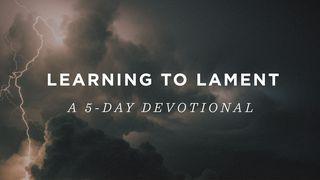 Learning to Lament: A 5-Day Devotional Jesaja 38:17 Het Boek