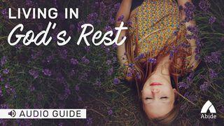 Living In God's Rest Spreuken 19:23 Het Boek