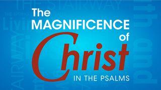 The Magnificence Of Christ In The Psalms Psaltaren 74:16 Svenska Folkbibeln 2015