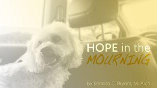 Hope in The Mourning Romans 4:20-22 New Living Translation