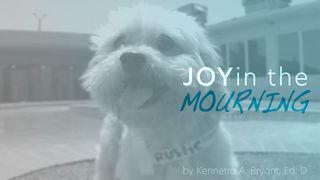 Joy In The Mourning  诗篇 50:15 和合本修订版