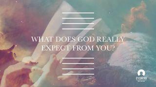 What Does God Really Expect From You? Spreuken 16:18 Het Boek