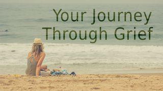 Your Journey Through Grief Книга Пророка Езекиїла 33:11 Свята Біблія: Сучасною мовою