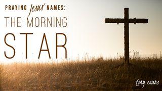 Praying Jesus' Names: The Morning Star John 12:36-50 New Living Translation