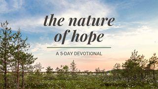 The Nature Of Hope: A 5-Day Devotional Mark 9:28-29 Ooratha Caaquwaa