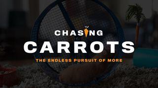 Chasing Carrots 1 Kings 10:1-10 English Standard Version 2016