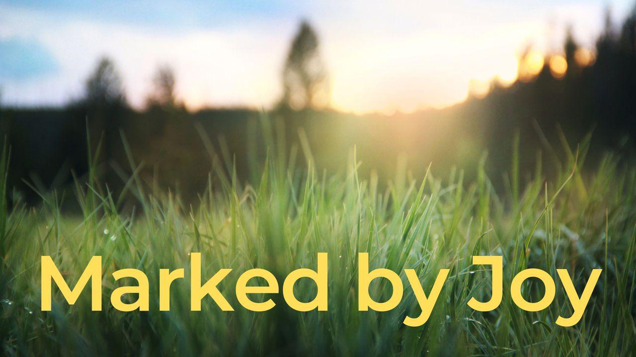 Marked By Joy