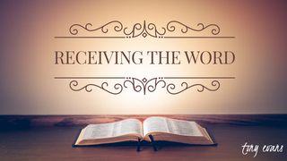 Receiving The Word De Openbaring van Johannes 1:3 Statenvertaling (Importantia edition)