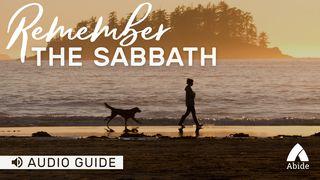 Remember The Sabbath 历代志上 16:23 中文标准译本