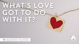 What's Love Got To Do With It? Spreuken 21:2 Het Boek