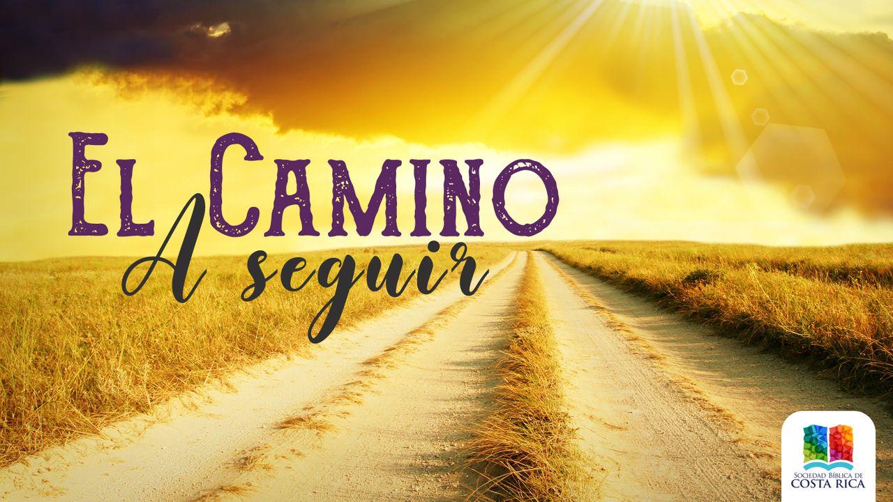 El camino a seguir