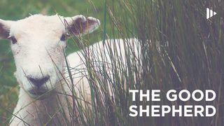 The Good Shepherd: Devotions From Time Of Grace มถิ: 18:12 สตฺยเวท:ฯ Sanskrit Bible (NT) in Thai Script