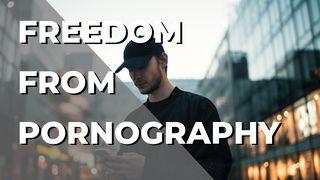 How Christ Offers Freedom From Pornography 罗马书 6:1-7 新标点和合本, 神版