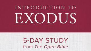 Introduction To Exodus: 5-Day Study Exodus 2:25 New Living Translation