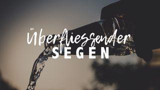 Überfliessender Segen Psalm 2:8 Hoffnung für alle