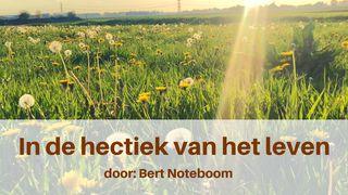 In de hectiek van het leven Psalmen 90:12 BasisBijbel