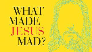 What Made Jesus Mad? John 7:53 New International Version