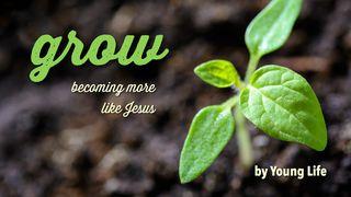 Grow: Becoming More Like Jesus Luk 6:43 Profet Yonab / Dora Nama Lukede Feiaga