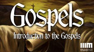 Introduction To The Gospels SUNAPULA 24:12 Buki Pilabumaboma