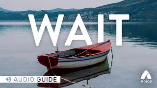 Wait De Psalmen 130:5 NBG-vertaling 1951