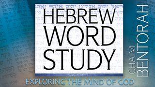 Exploring The Mind of God (Hebrew Word Study) ホセア書 6:3 リビングバイブル