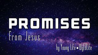 Promises From Jesus Luk 24:46-47 Takia