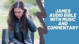 James Audio Bible With Music And Commentary Jakobus 5:20 BasisBijbel