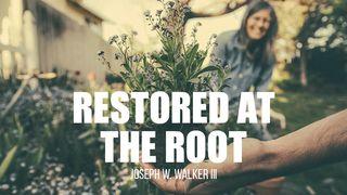 Restored at the Root John 8:34 King James Version