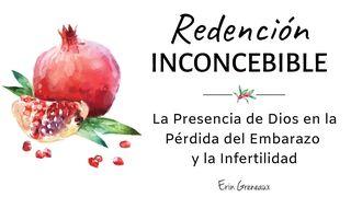 Redención Inconcebible: La Presencia de Dios en la Pérdida del Embarazo y la Infertilidad Job 38:4 Reina Valera Contemporánea