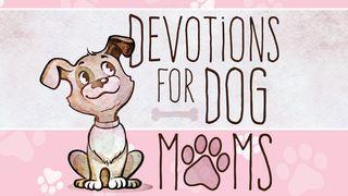 Devotions for Dog Moms 1 ПЯТРА 3:3-4 Біблія (пераклад В. Сёмухі)