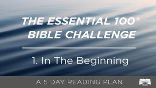 The Essential 100® Bible Challenge–1–In The Beginning GÉNESIS 6:12 a BÍBLIA para todos Edição Católica